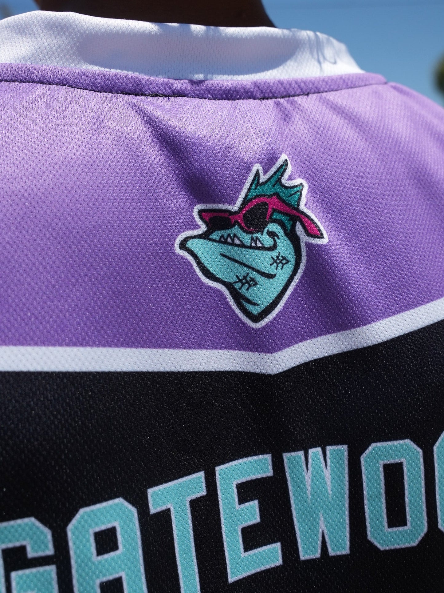 San Diego Barracudas Hockey Tank
